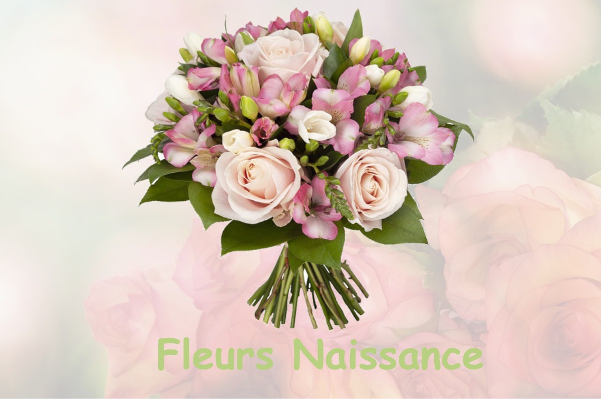 fleurs naissance FORT-DU-PLASNE