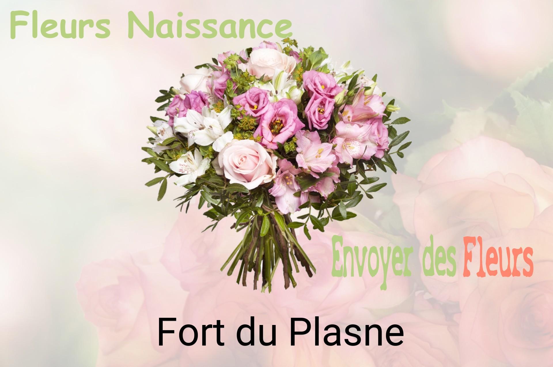 Bouquet de fleurs de naissance livré à Fort-du-Plasne