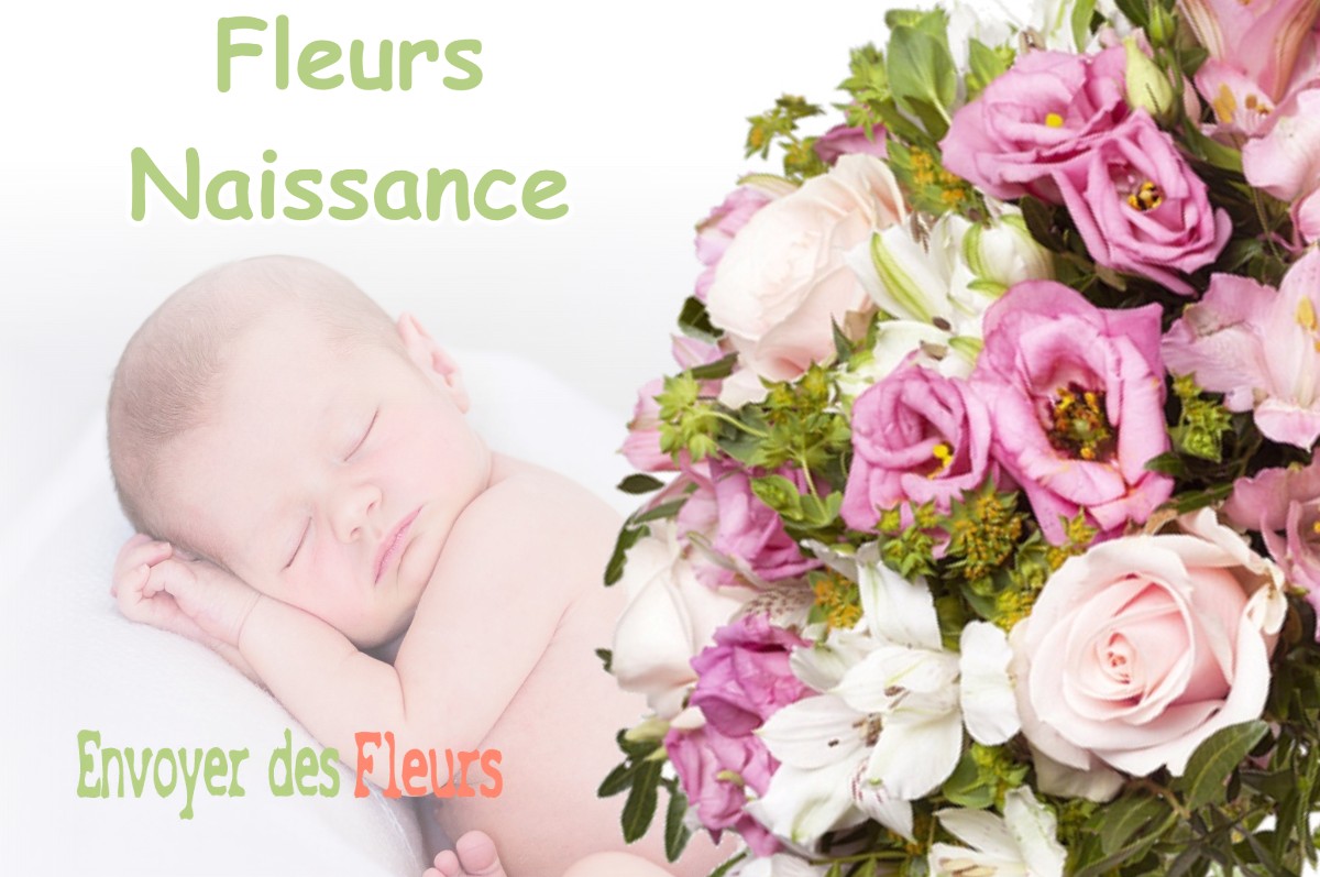 lIVRAISON FLEURS NAISSANCE à FORT-DU-PLASNE